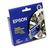 1 x Genuine Epson T0491 Black Ink Cartridge